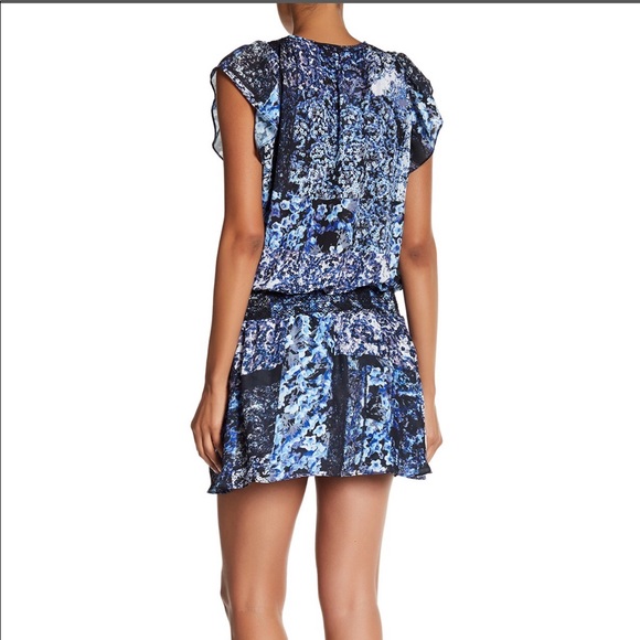 Parker Flutter Sleeve smock Waist chiffon dress - Picture 3 of 6